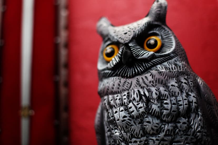 Kvests ''Slepena istaba'' (P.-C. līdz plkst. 18:00)