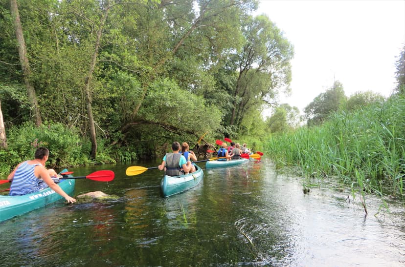 Vienas dienas brauciens ar kanoe laivu pa Latgales ūdeņiem