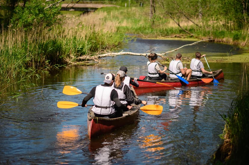 Laivu noma no ’’Atpūta Ludzā’’ (1-4 pers. 3h.)