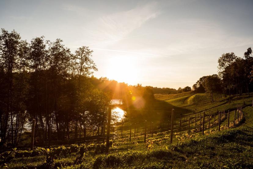 Romantiska nakts un vakariņas Murimäe vīna pagrabā