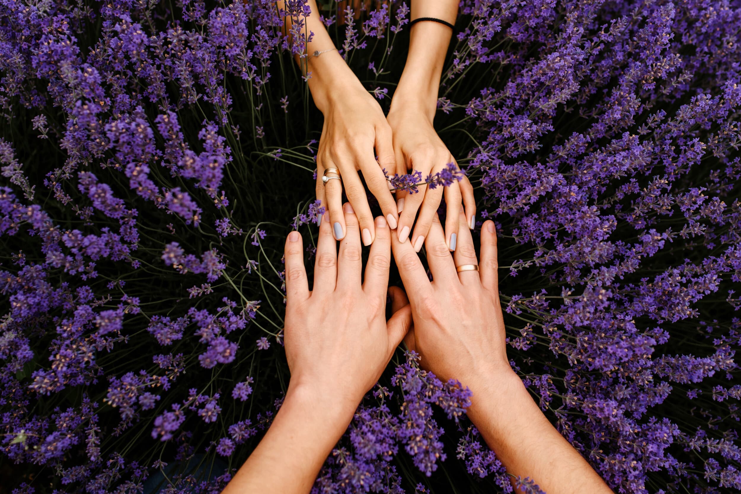 Lavandas ziedos – pasakains SPA rituāls pārim MYSPA Rīgā | Davanu Serviss
