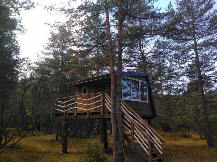 Atpūta namiņā kokā ’’Astotais vilnis’’ (2-4 pers., 2 naktis)