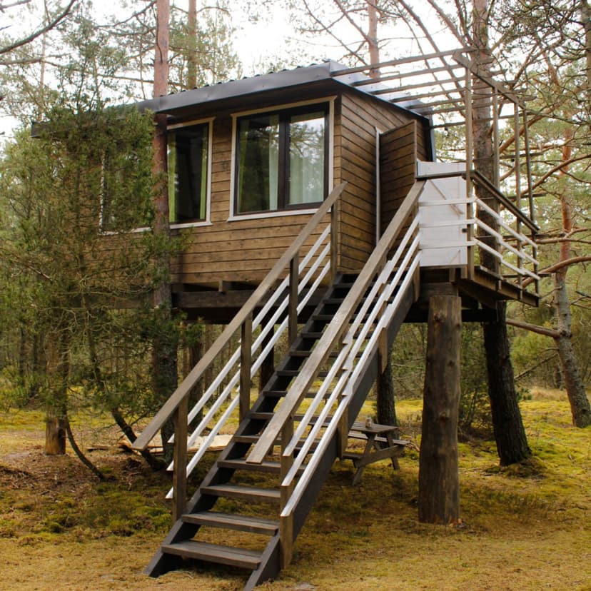 Atpūta namiņā kokā ’’Vēju šūpoles’’ (2-4 pers., 3 naktis)