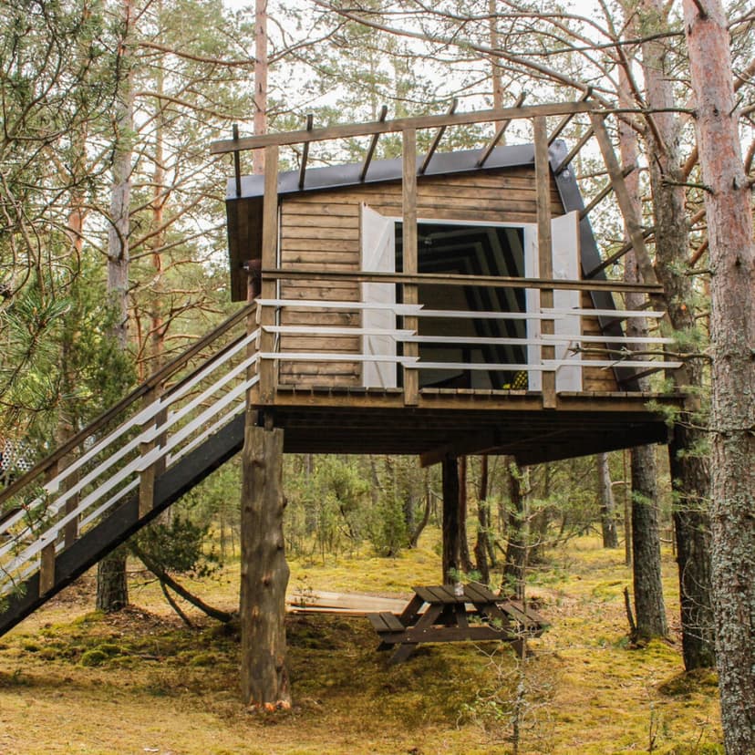 Atpūta namiņā kokā ’’Vēju šūpoles’’ (2-4 pers., 2 naktis)