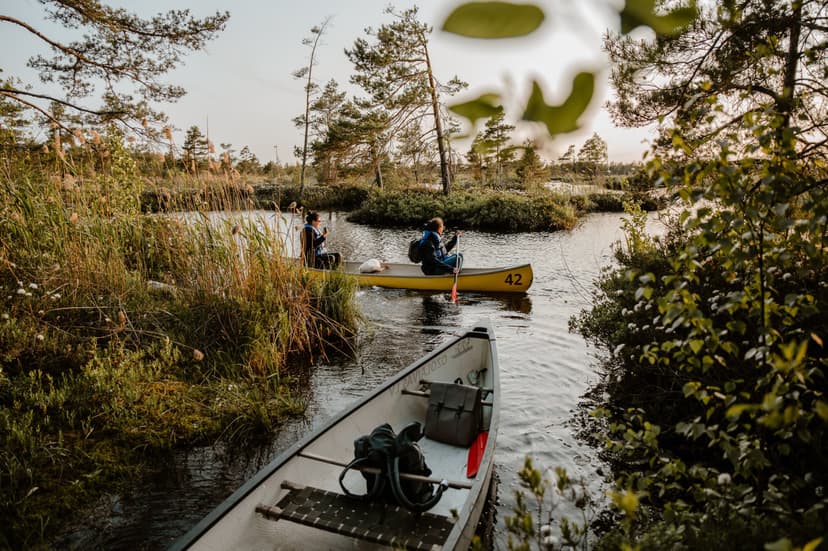 Saullēkta vai saulrieta brauciens Ķemeru tīrelī diviem