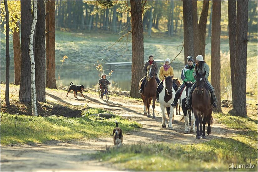 Izbrauciens pajūgā/kamanās vai izjāde un pusdienas "Klajumos" (2 pers.)