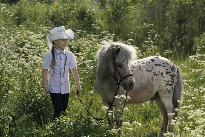 Pasakaina pastaiga ar poniju