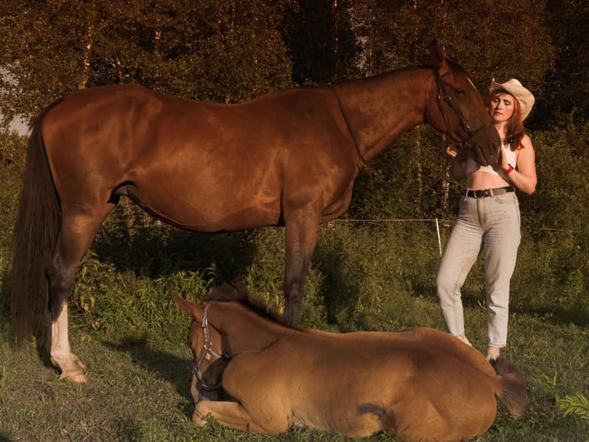 Romantiska pastaiga pa mežu