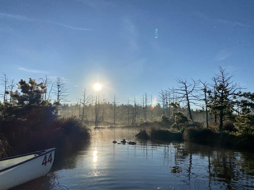 Laivu brauciens Smārdes Zaļajā purvā (2 pers.)
