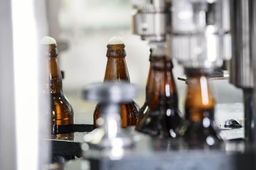 Ekskursija un degustācija alus darītavā "TĒRVETE" (līdz 10 pers.)