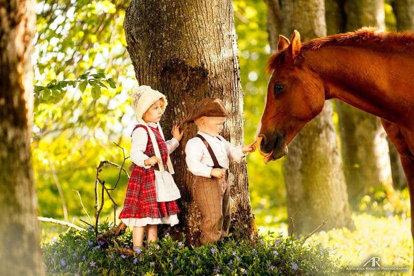 Fotosesija ar dzīvniekiem zirgu sētā "Dārziņi"