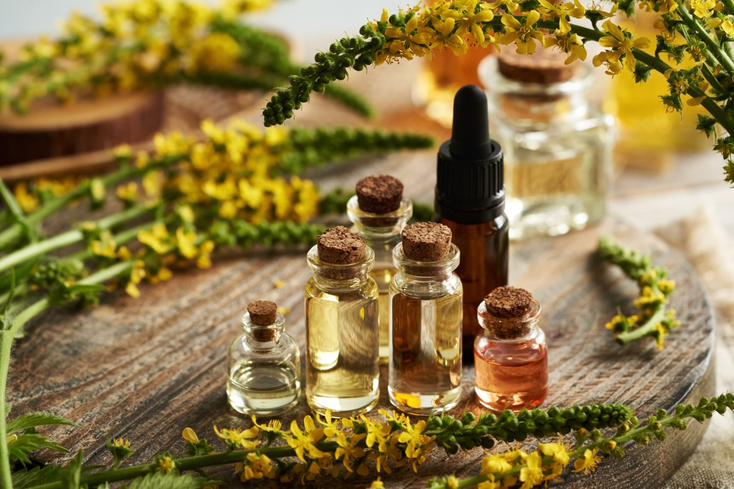Atslābinoša muguras un pēdu aroma masāža – Activ&SPA Rīgā | Davanu Serviss